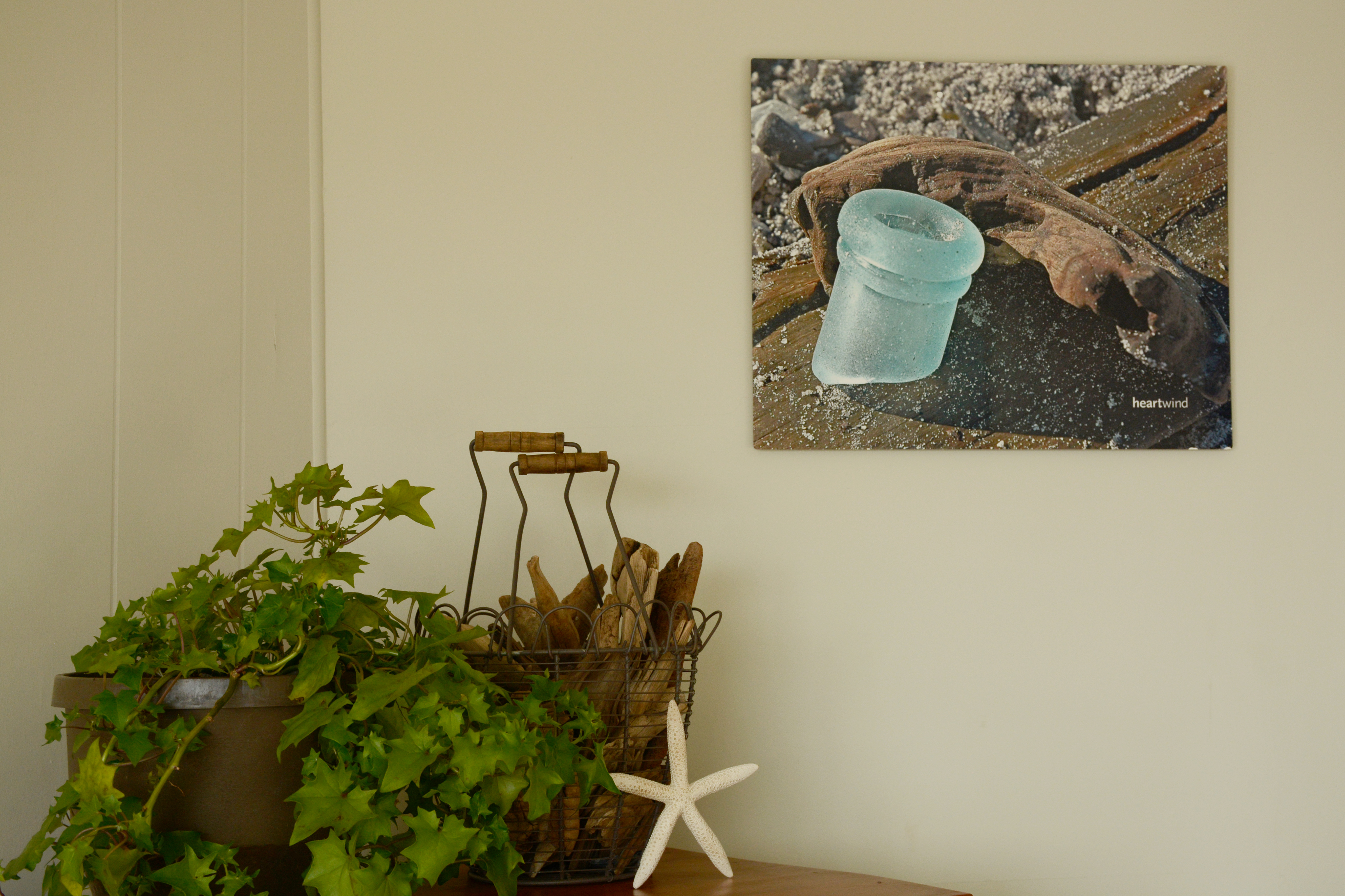 16" x 20" Aluminum Print — Mussel 01 - Image 2