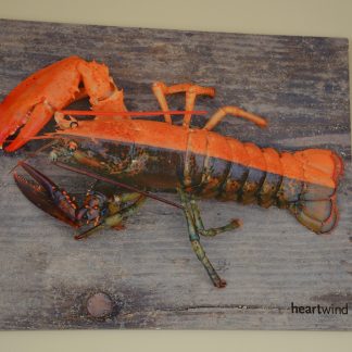 Rare and Unique Lobster Wall Art