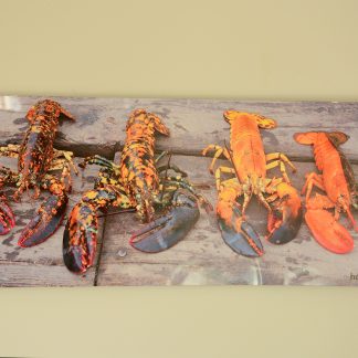 Four Unique Rare Lobsters Wall Art