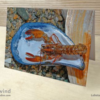 BABY — Lobster Greeting Cards