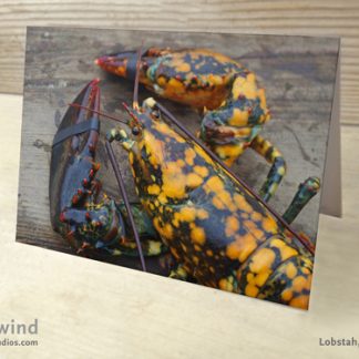 CALICO — Lobster Greeting Cards