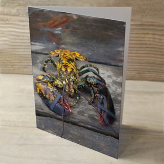 Heartwind Calico Lobster 05 Greeting Card