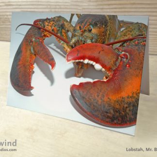 Heartwind Mr. Big Claw 01 Greeting Card