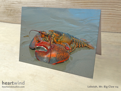 Mr, Big Claw 04 Greeting Card