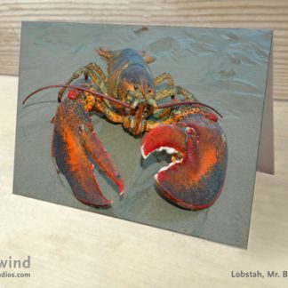 Heartwind Mr. Big Claw 05 Greeting Card