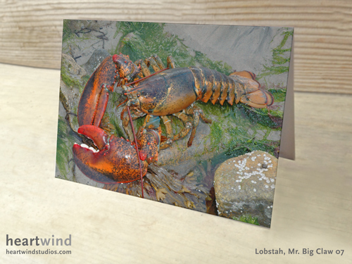 Heartwind Mr. Big Claw 07 Greeting Card