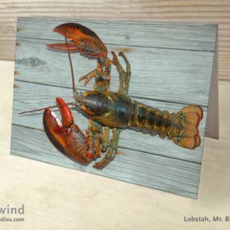 Heartwind Mr. Big Claw 08 Greeting Card