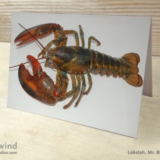 Heartwind Mr. Big Claw 09 Greeting Card