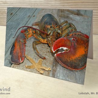 Heartwind Mr. Big Claw 10 Greeting Card
