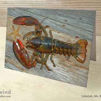 Heartwind Mr. Big Claw 11 Greeting Card