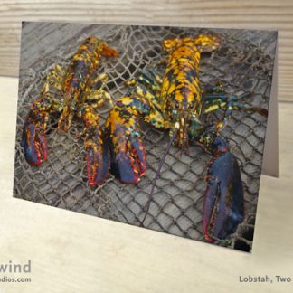 Heartwind Two Calico Lobsters Greeting Card