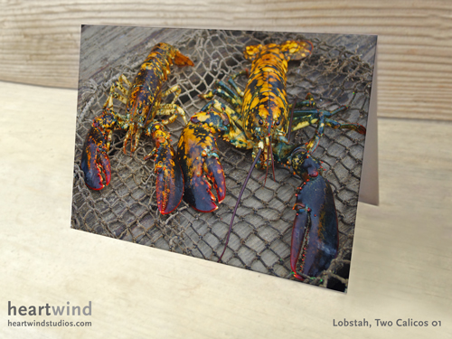 Heartwind Two Calico Lobsters Greeting Card