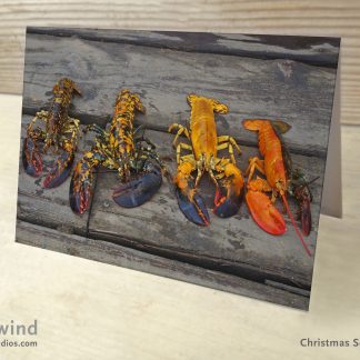 Four Unique Rare Lobsters Photo Greeting Card