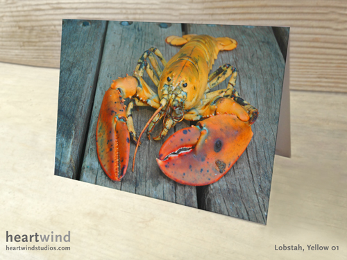 Heartwind Yellow Lobster 01 Greeting Card