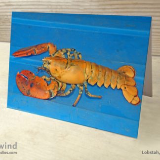 Heartwind Yellow Lobster 02 Greeting Card
