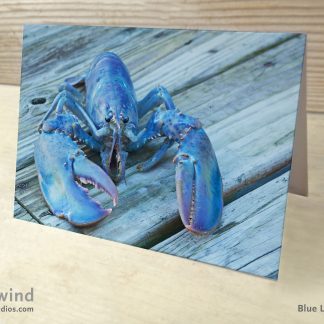 Blue Lobster photo greeting card