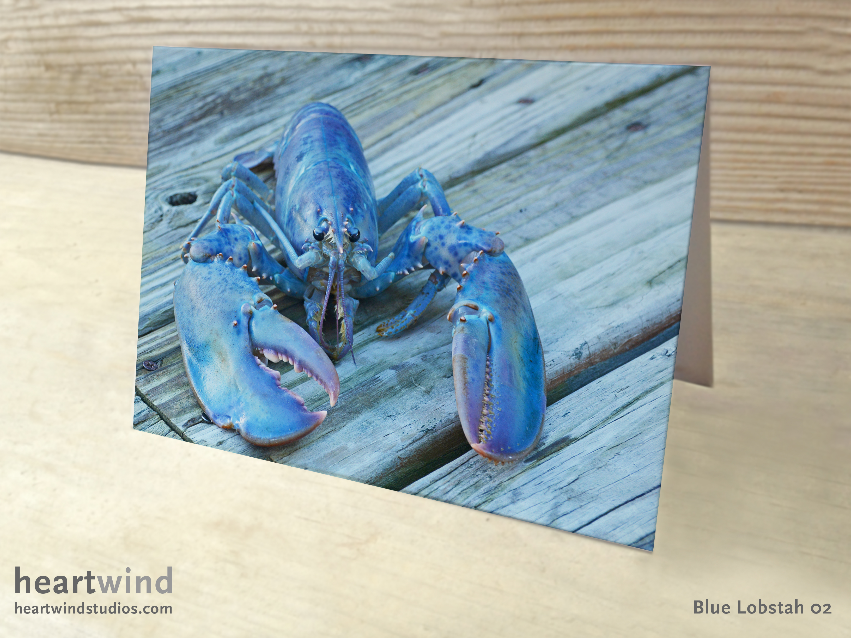 Blue Lobster photo greeting card