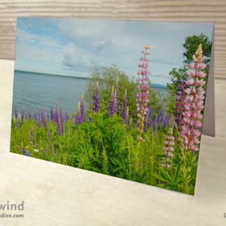 lupines by ocean photo greeting card